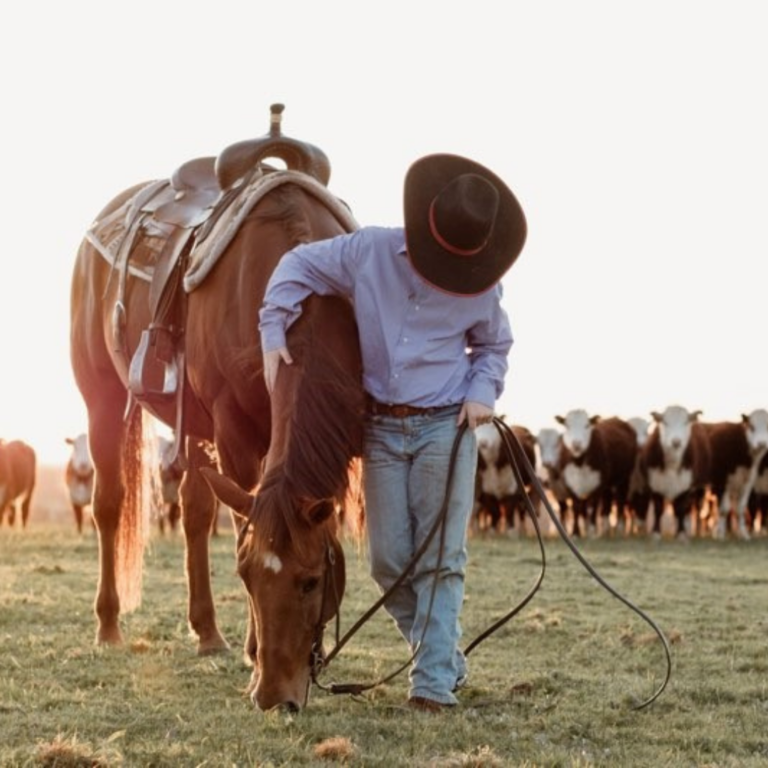 OUR 2022 NCHA 50TH ANNIVERSARY CALENDAR IS HERE! National Cutting